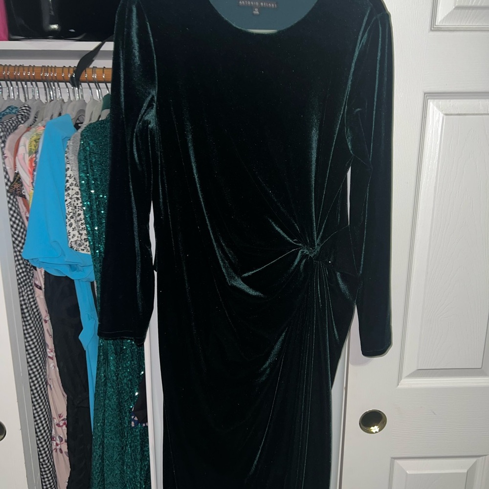 ANTONIO MELANI Dark Green Velvet Long Sleeve Dress